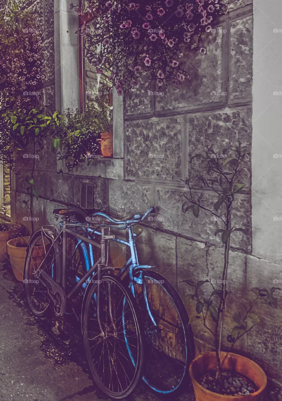 bicycle