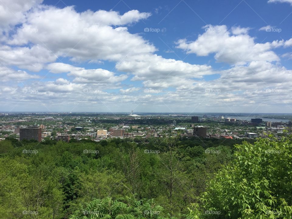 Montreal Views