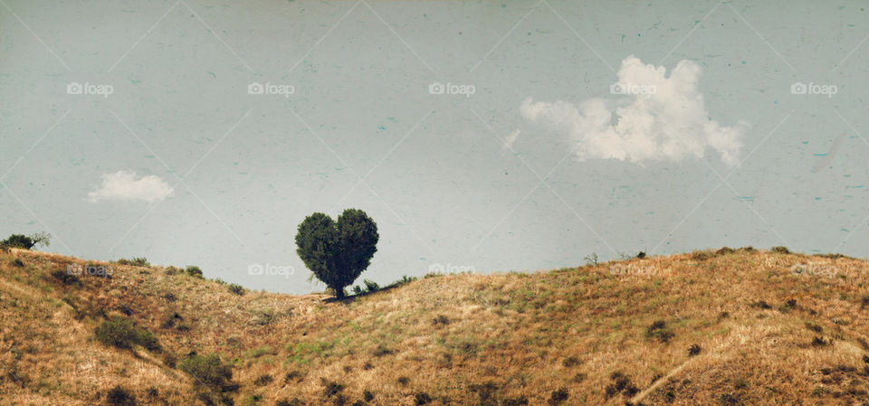 sky grass tree heart by theamazingninja