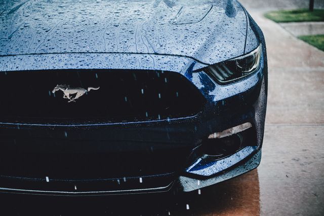 Mustang