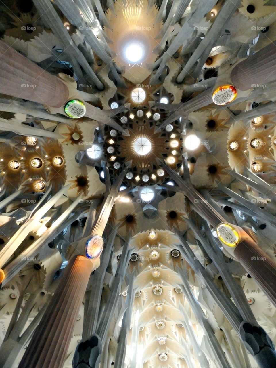 Ceiling of Gaudi cathedral 