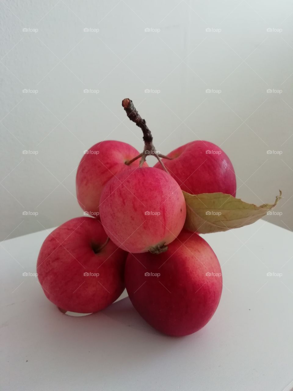 Röda äpplen med blad på kvist mot vit bakgrund.