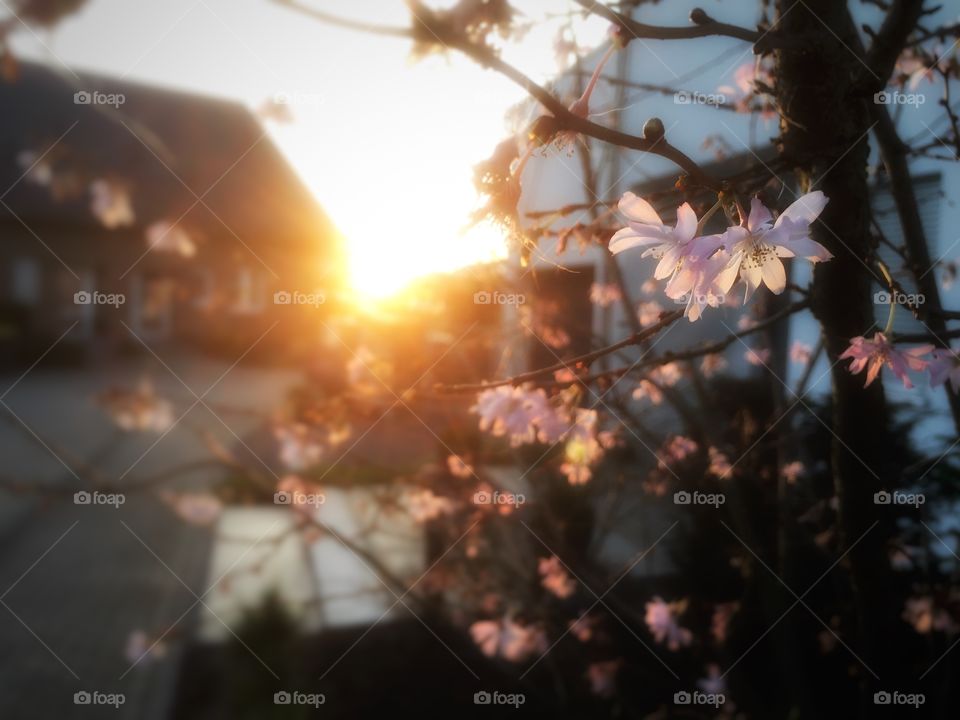 Spring just around the corner
