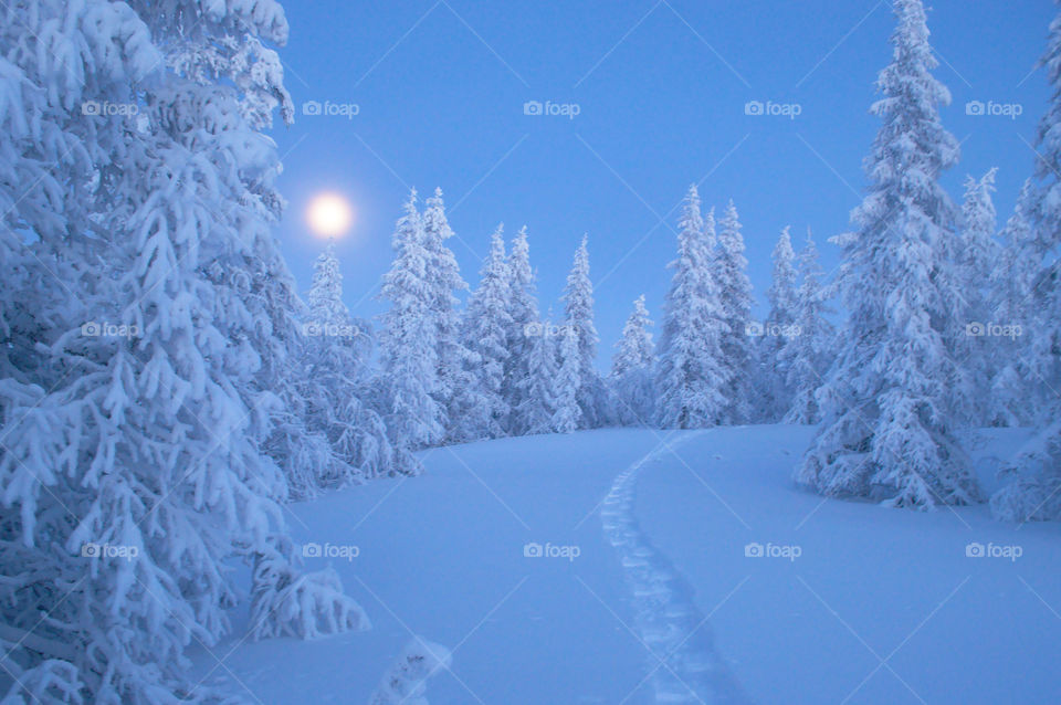 Winter, dawn, Arctic, morning, winter river, evening, winter silence, silence, frost, morning, predawn, red, traces of animals