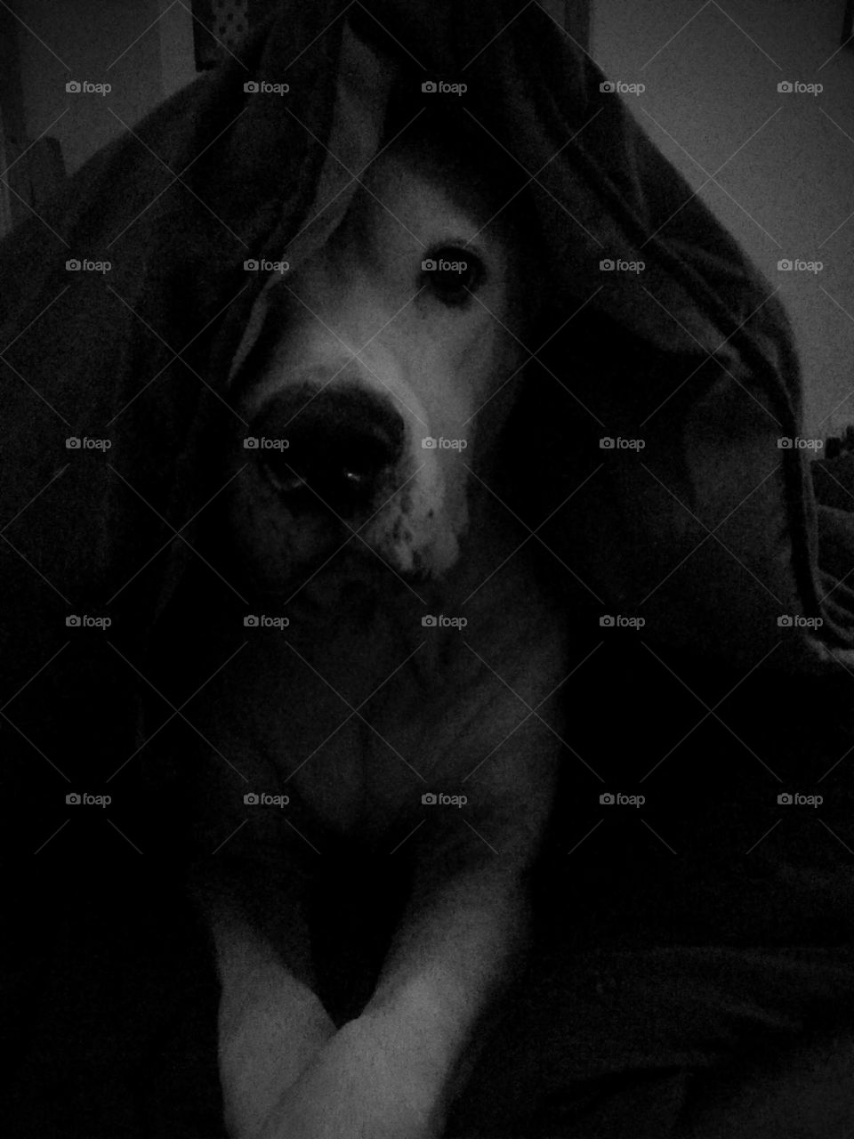 Come to the dark side, we have cuddles