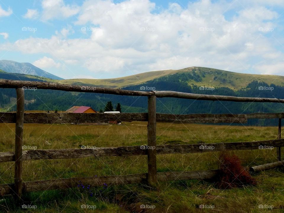 wooden fence