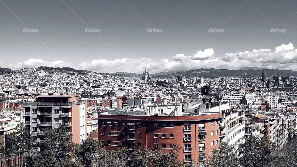 My city