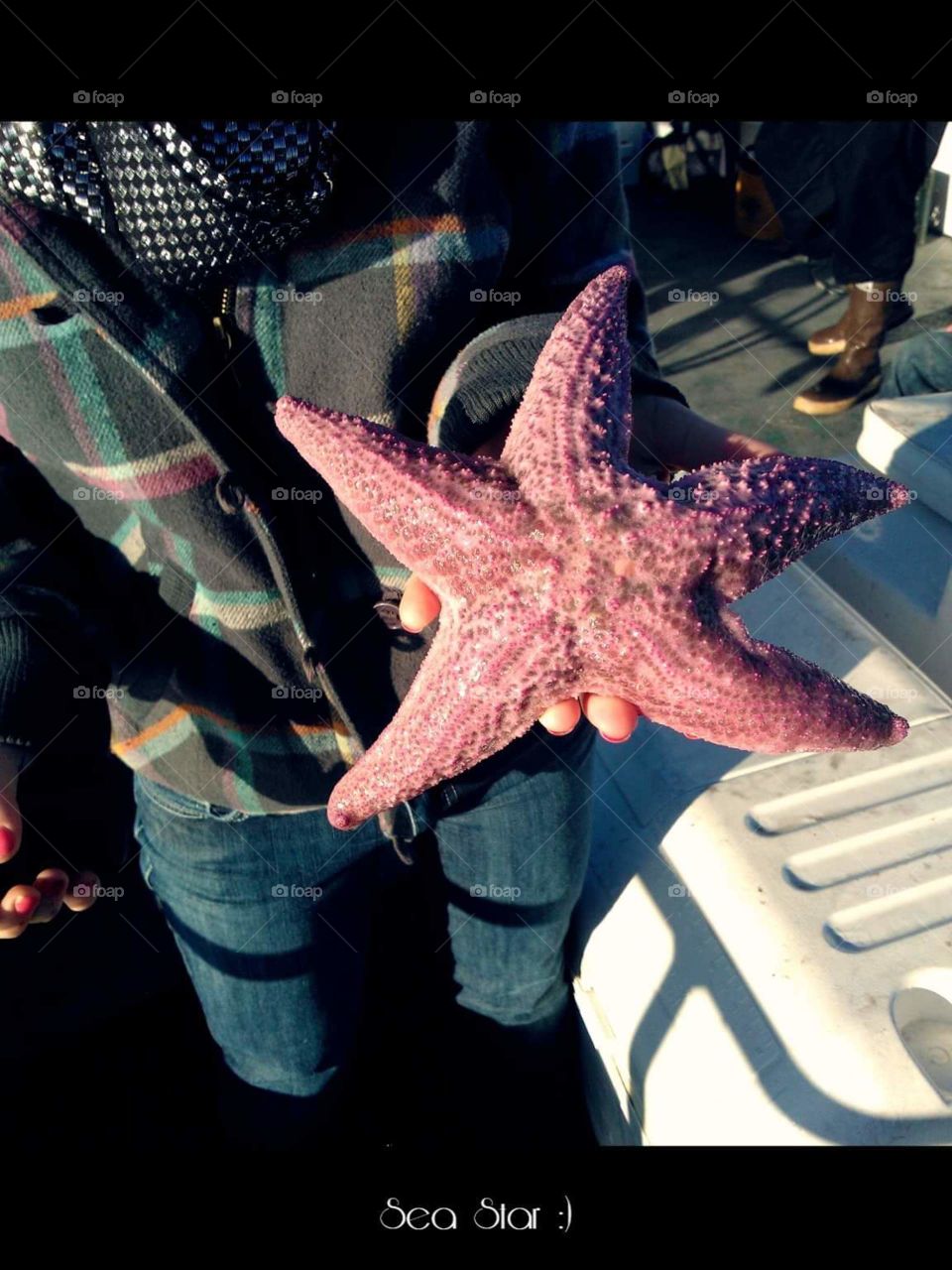 That awkward moment when a starfish gets stuck in a crab pot (Fort Bragg, CA)