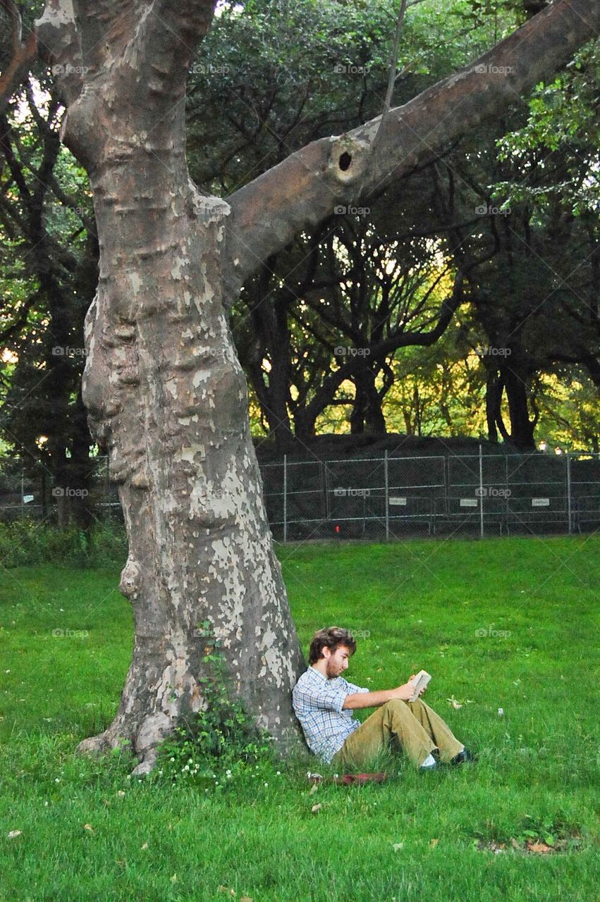 Reading in the park