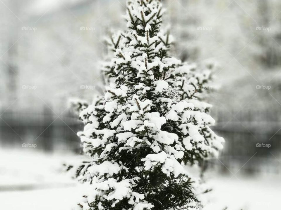 Красоты Сибири