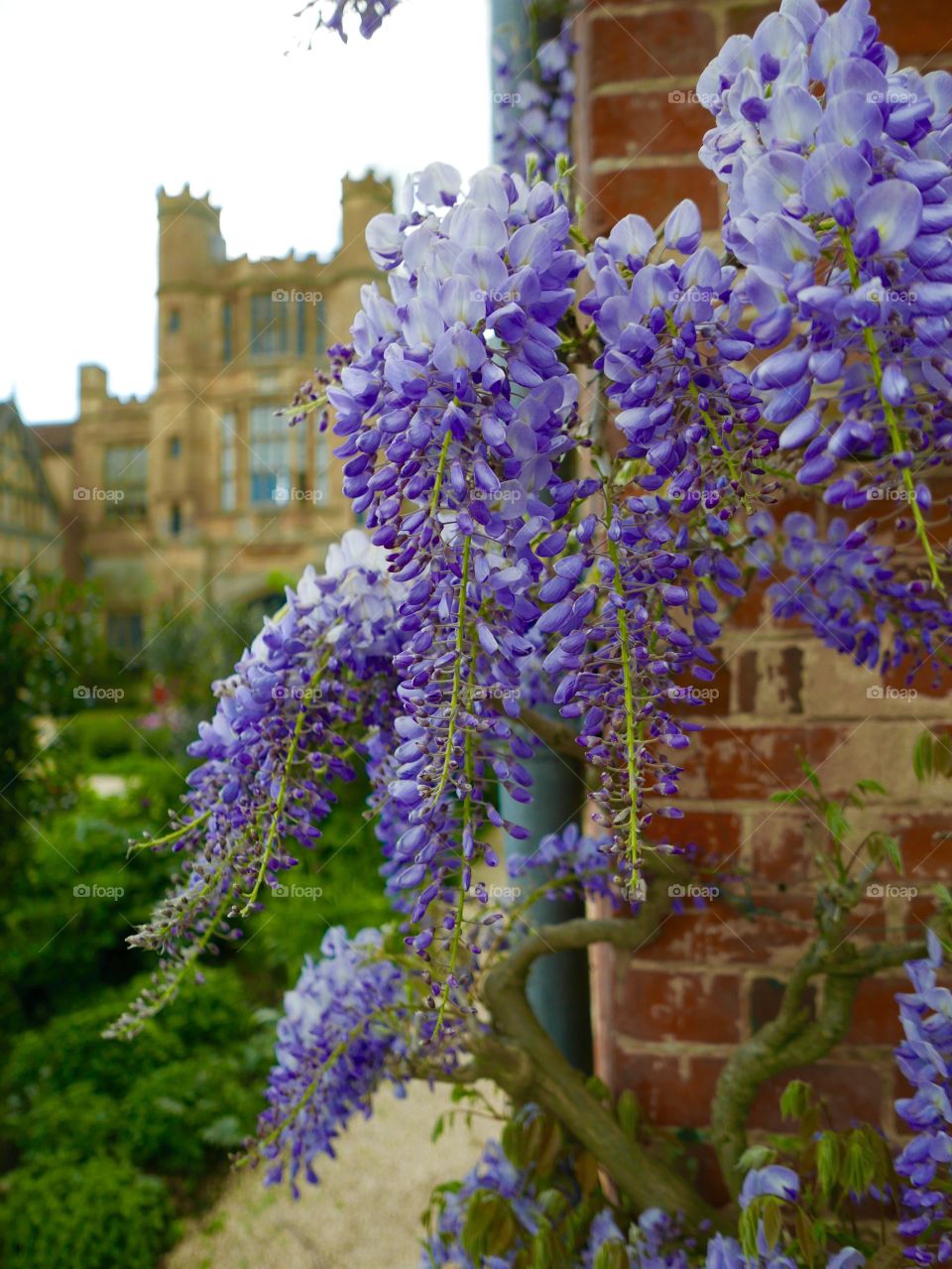 Garden. Stately home