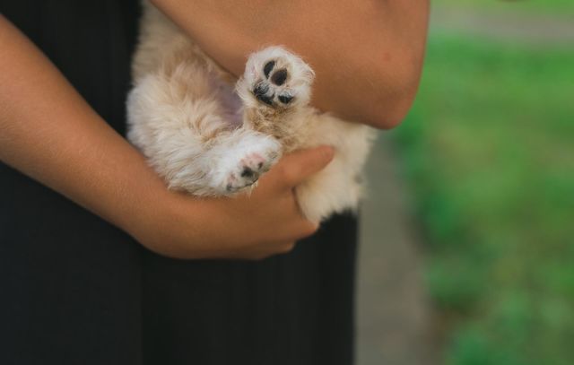 Cutest phot, girl and pet