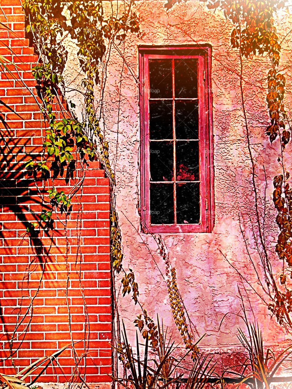 Vintage window of an abandoned house.