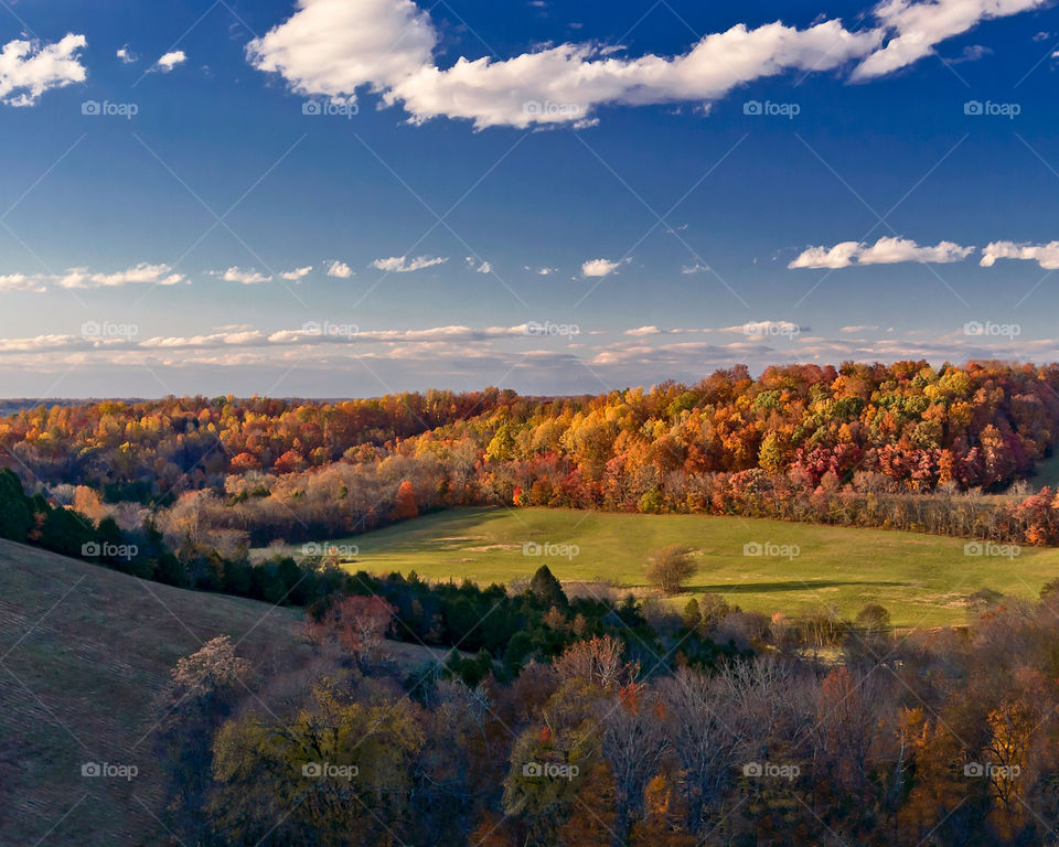 landscape sky colors trees by hollyau92