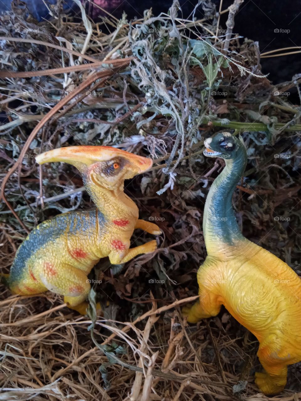 parasaurolophus- apatosaurus