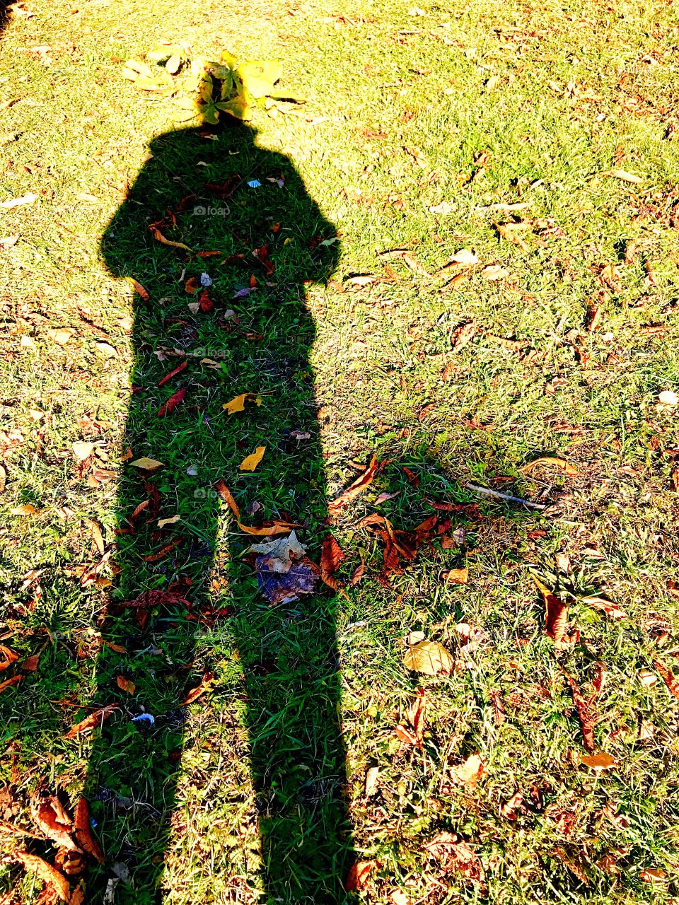 colored shadow
