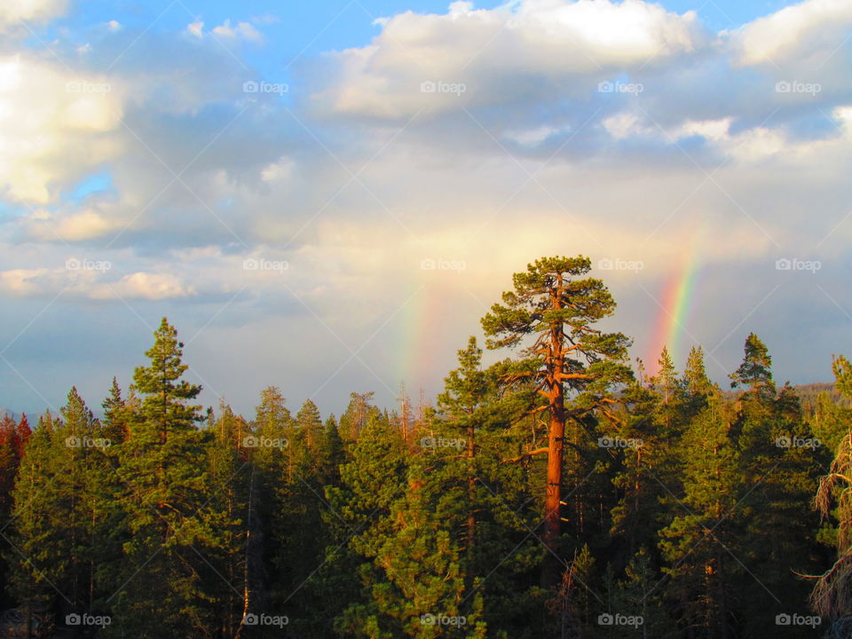 Mountain Magic. Captured Saturday evening 6-13-15 in the Sequoia Nat'l Forest