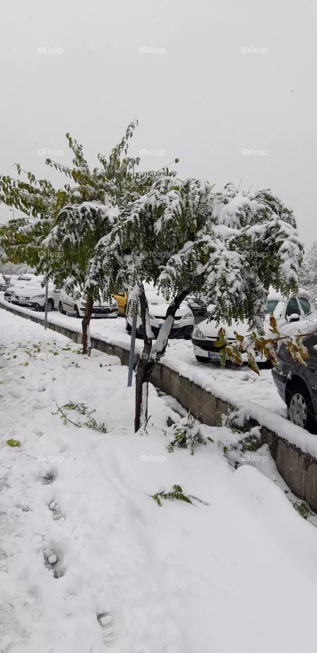 snow