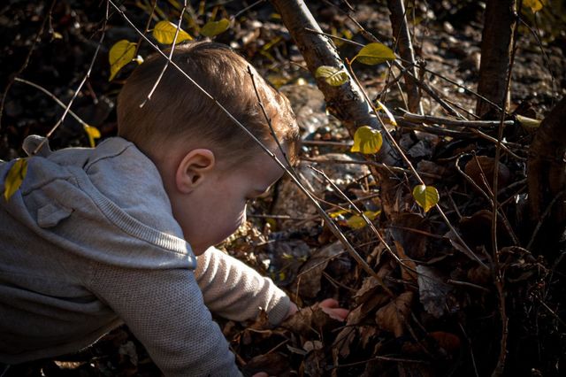Autumm