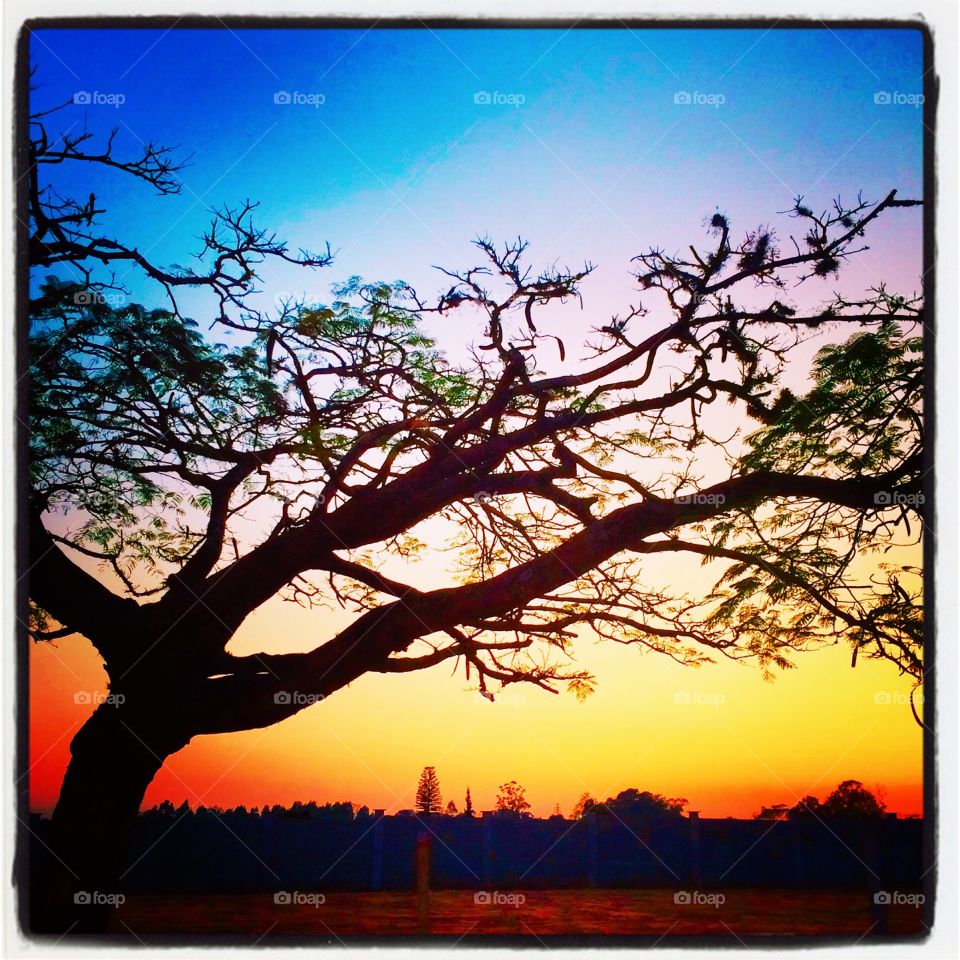 🌅Por enquanto, para o lado de #Jundiaí, #céu limpo. Para o lado de #Itupeva, #nuvens escuras.
Vai ou não chover?
Ótima #QuartaFeira a todos.
🍃
#sol
#sun
#sky
#photo
#nature
#manhã
#morning
#alvorada
#natureza
#horizonte
#fotografia
#paisagem
#inspiração
#amanhecer
#mobgraphy
#FotografeiEmJundiaí