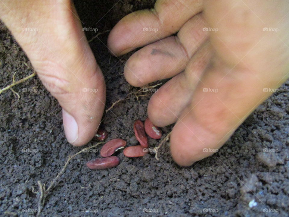 Hands planting seed in soil