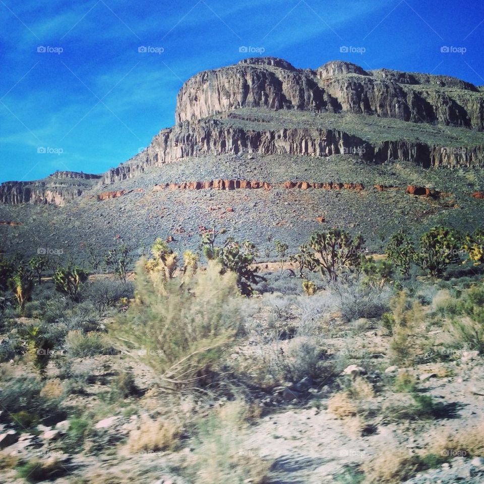 Arizona Desert