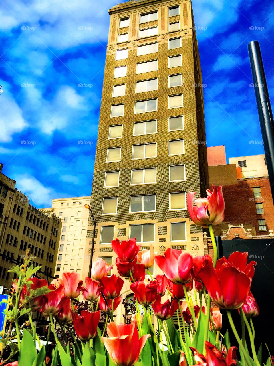 Spring views downtown Indy. 