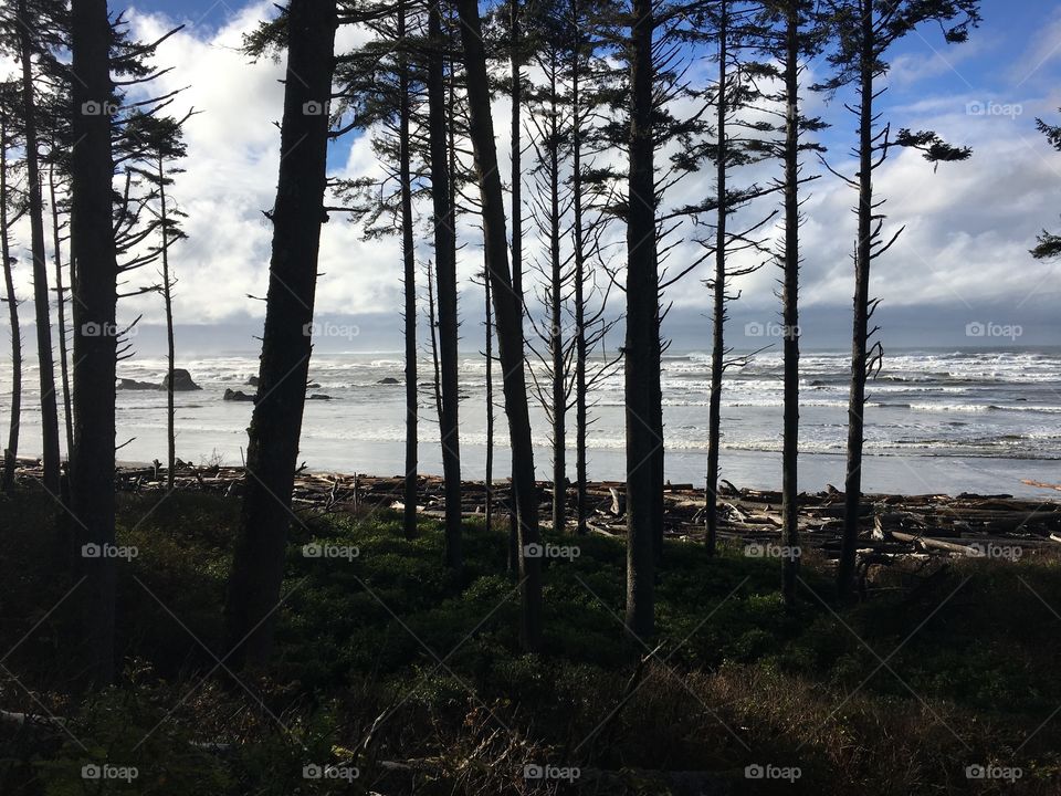 Ruby Beach, Pacific Ocean, Olympic Peninsula, Washington State 