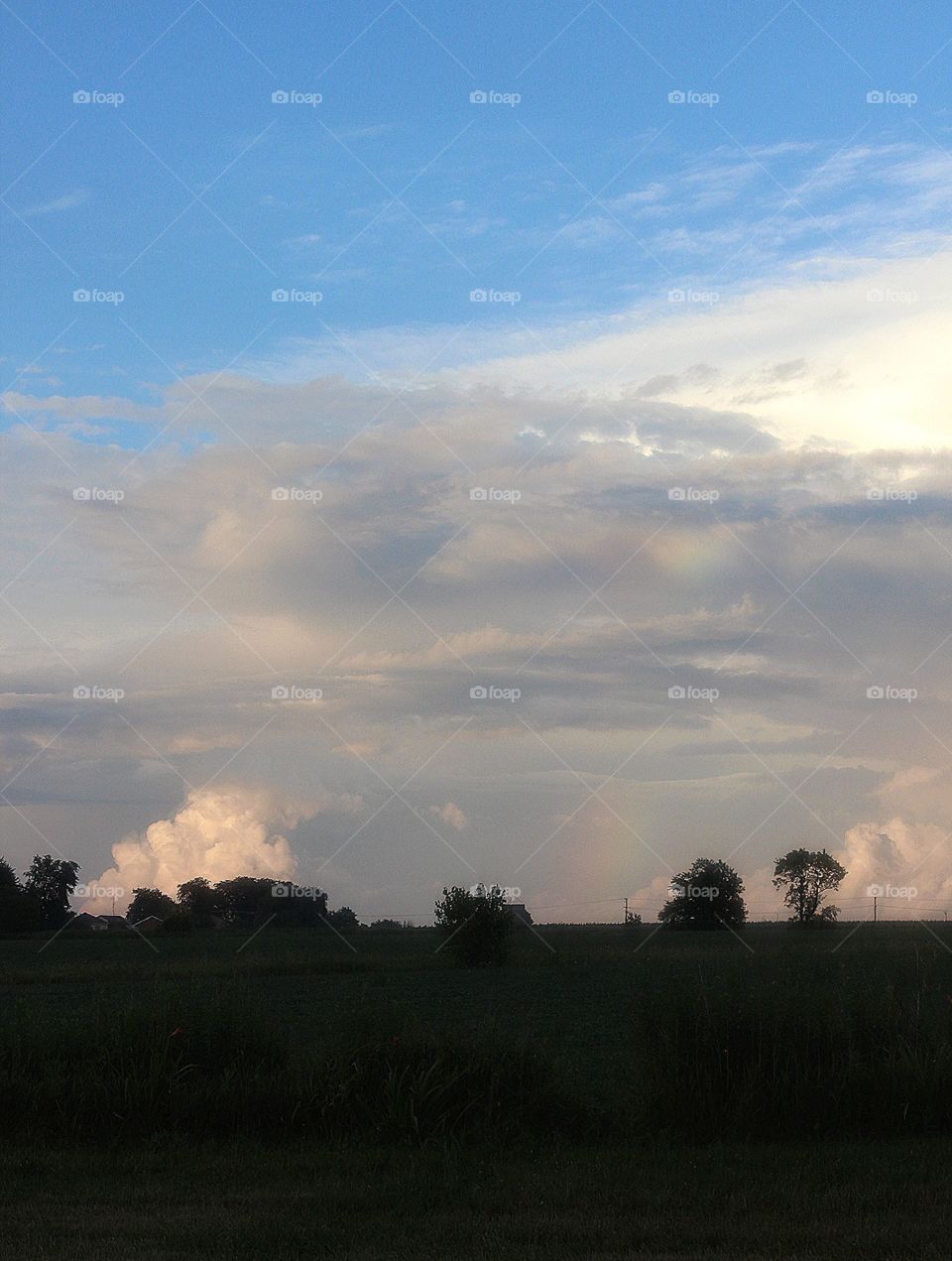 Rainbow in the field