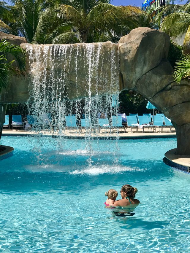 Beautiful Water Fall