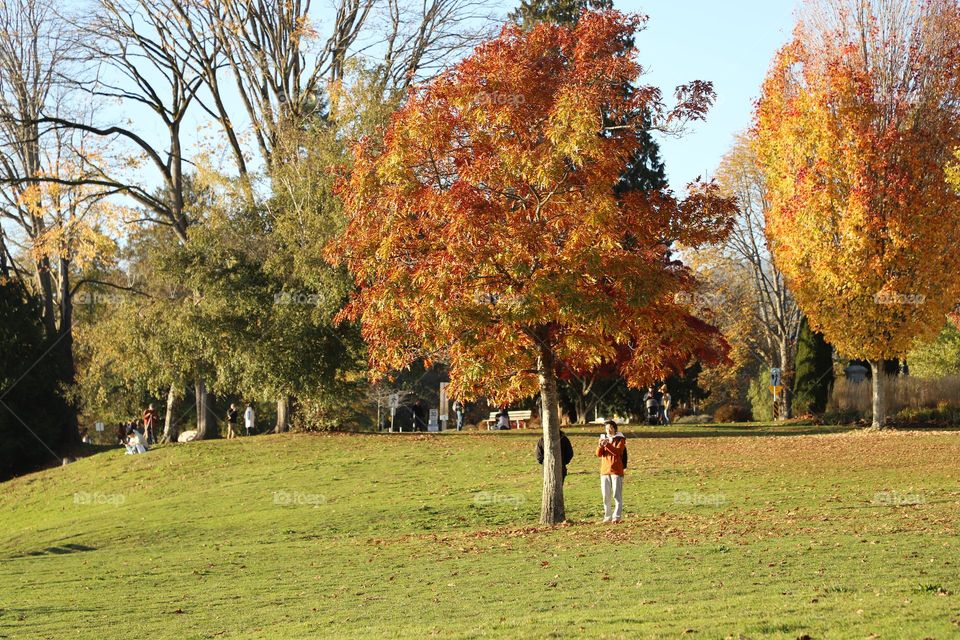 Under the tree