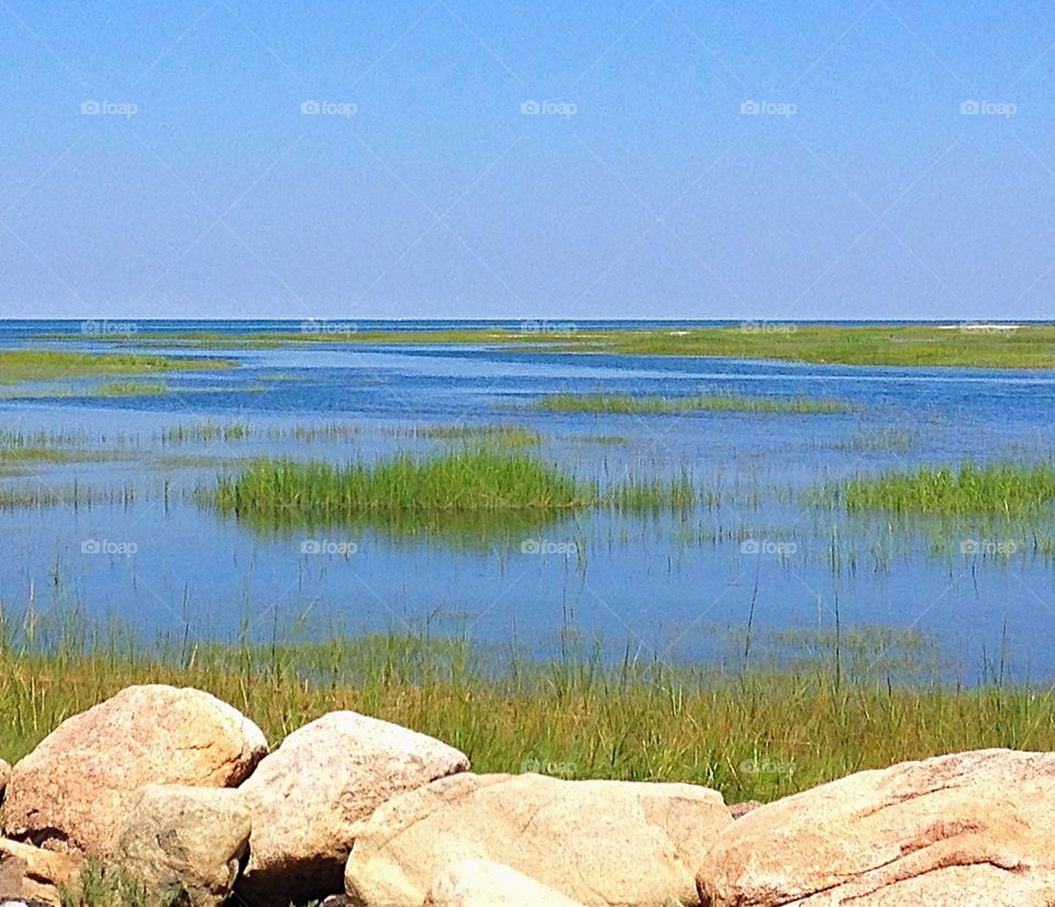 Simple capture of a marsh, Cape Cod, Massachusetts 
