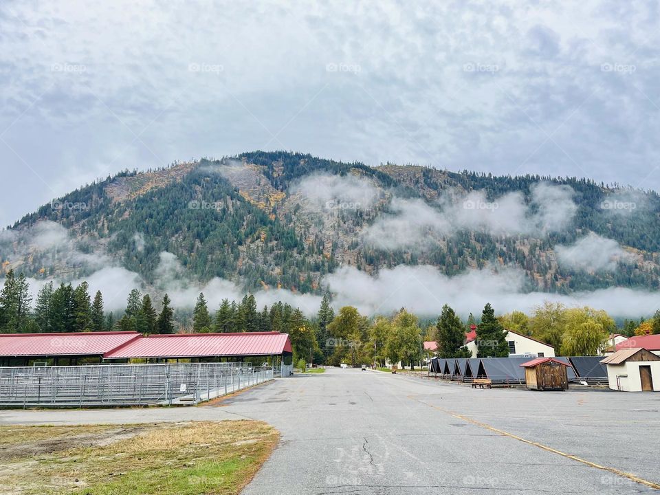 Mountains landscape with foggy forest 