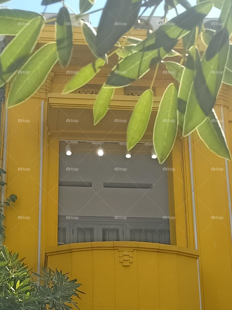 yellow window