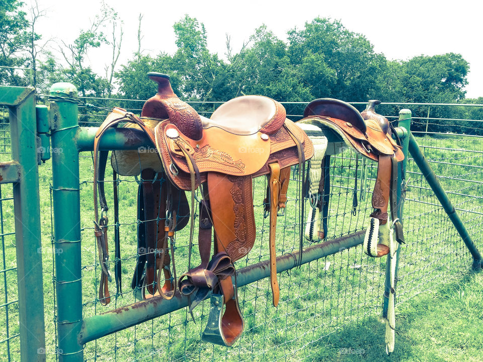 Saddles