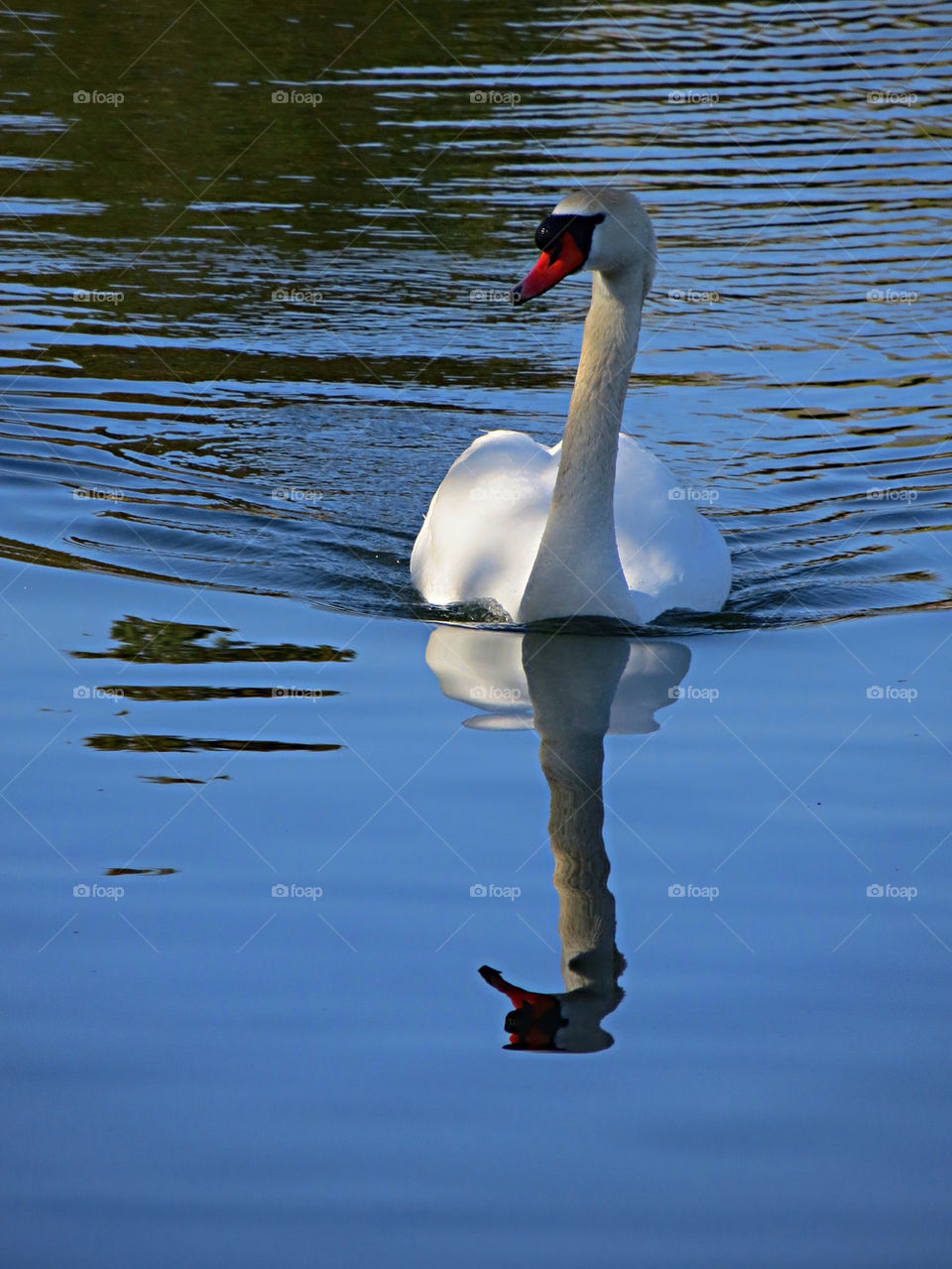 Cruising the lake