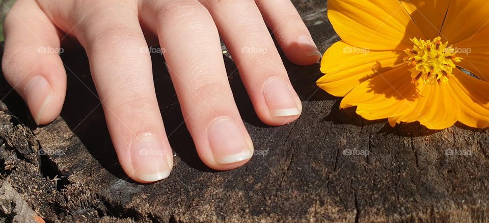 simplicity, beauty and naturalness.  beautiful and delicate nails