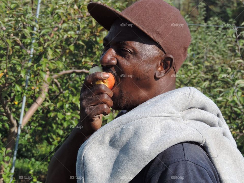 apple eating orchard migrant worker by 5hels