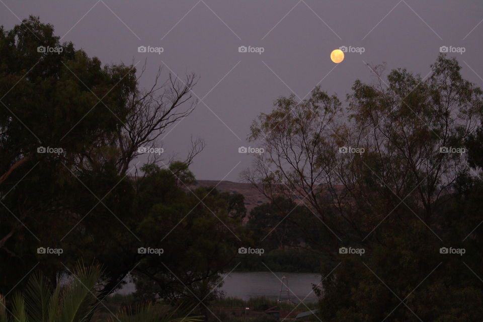 Bright full moon giving light in the evening