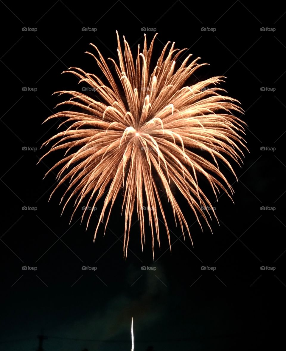 Japanese firework