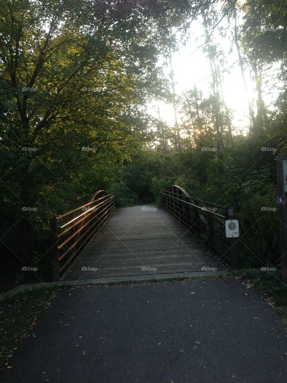 Trail bridge