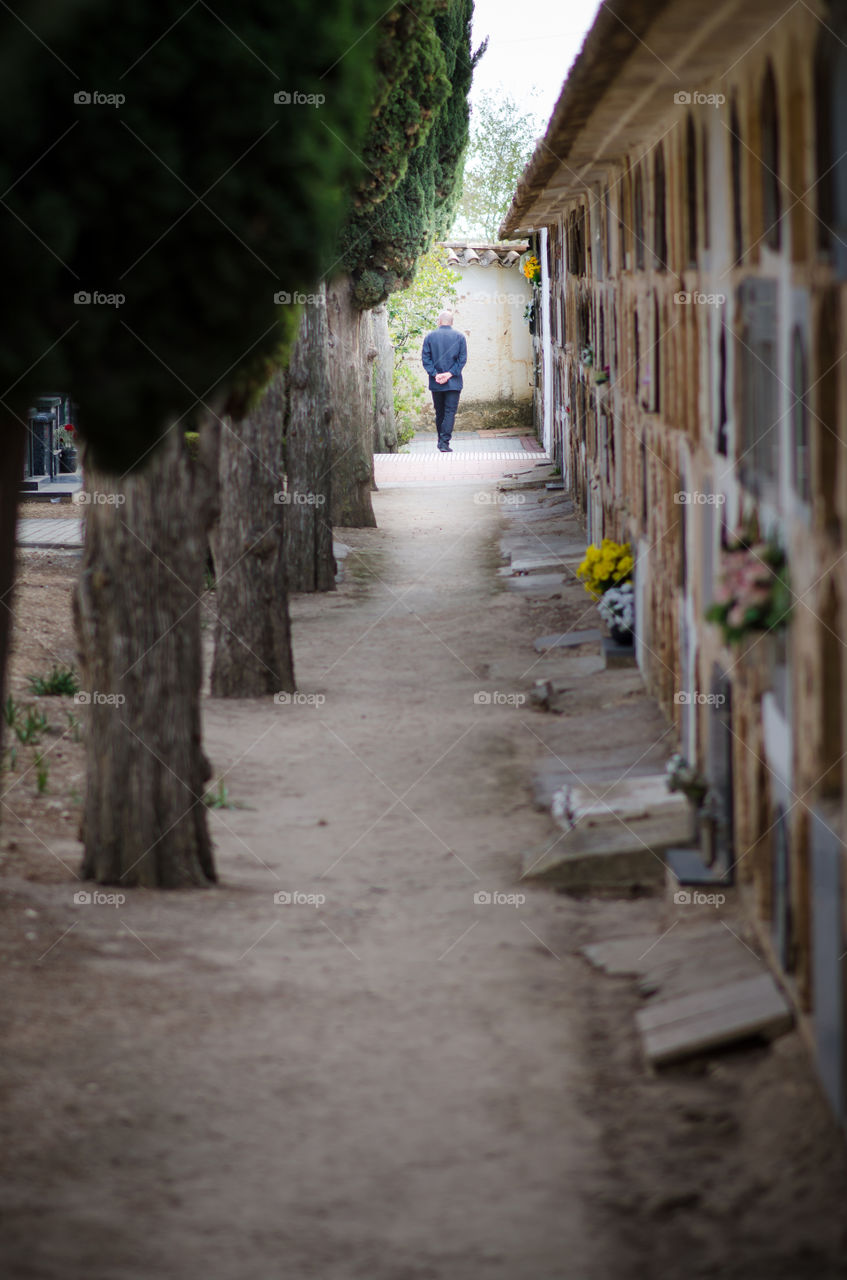Remembering our ancestors, strolling in the old cementery of my town 