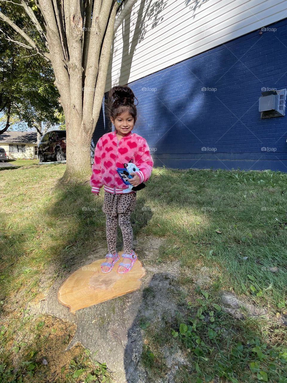 Where’s the tree, little girl stands on freshly cut down stump, little girl watches mommy from stump