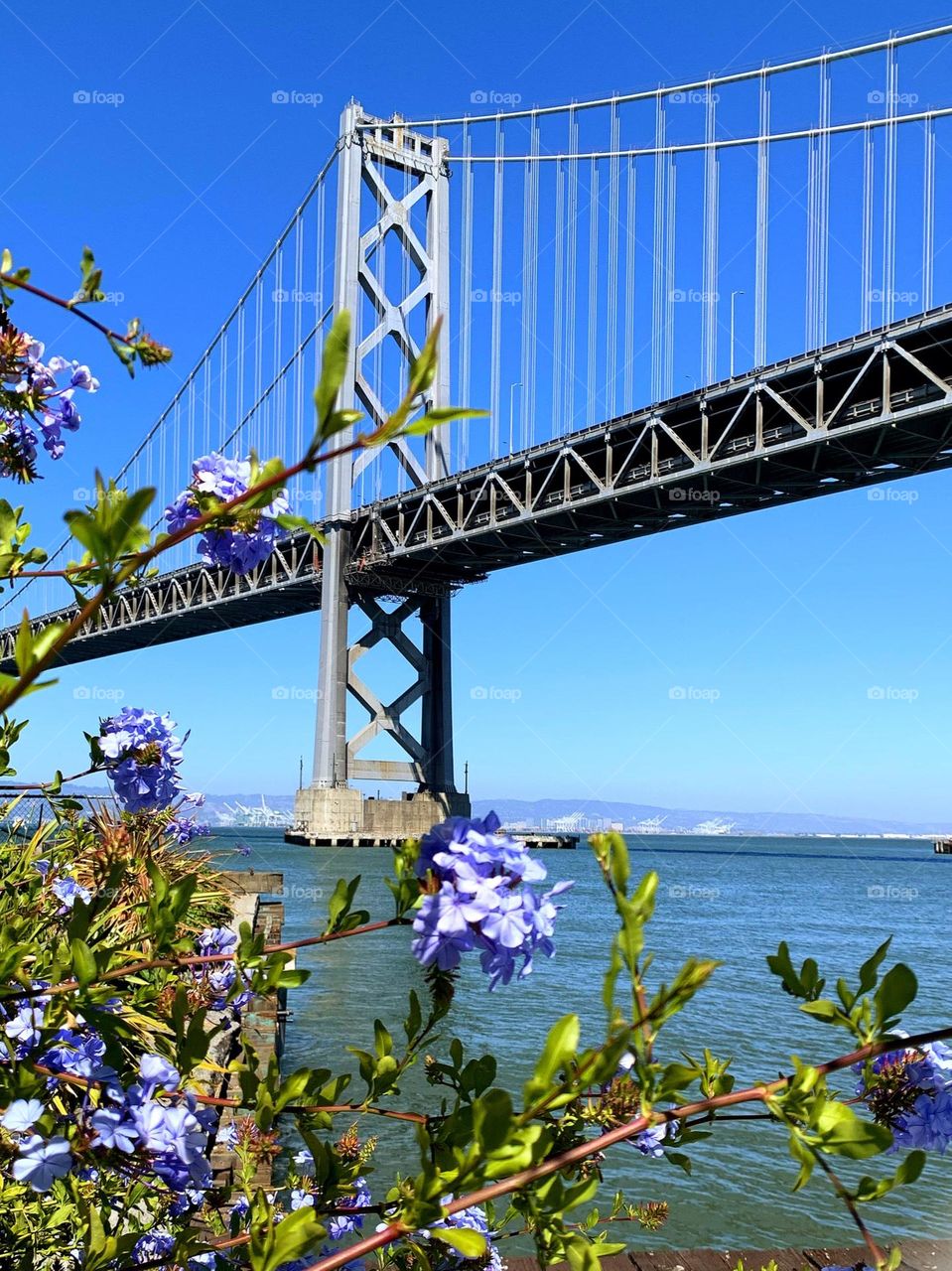 A huge bridge across the sea