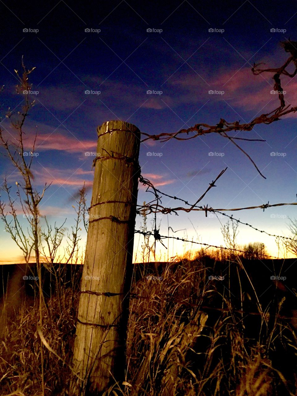 Rural barbed wire fence