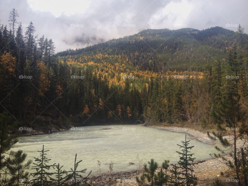 A clearing in Golden, BC