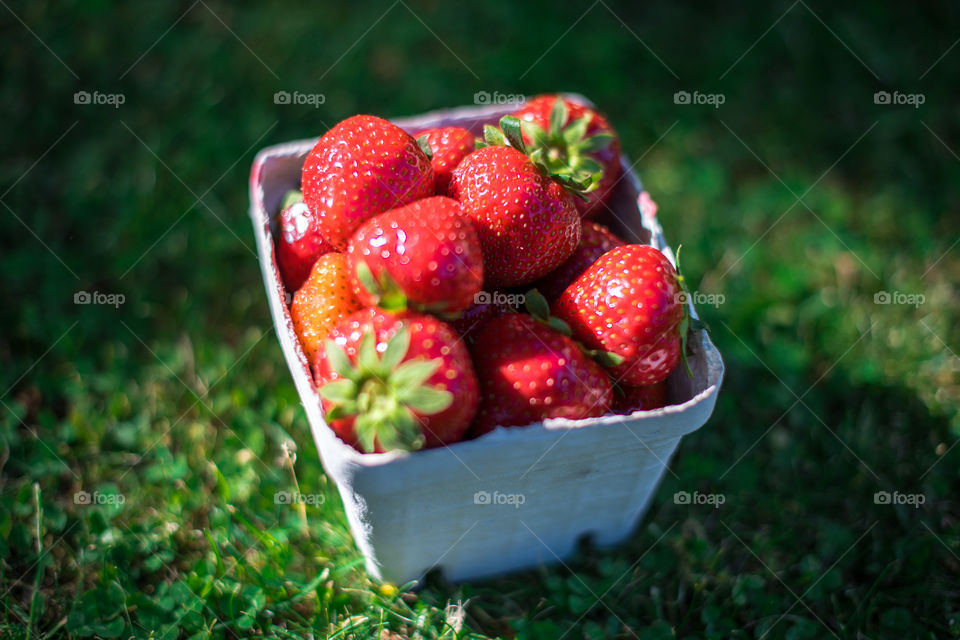 Strawberries in container