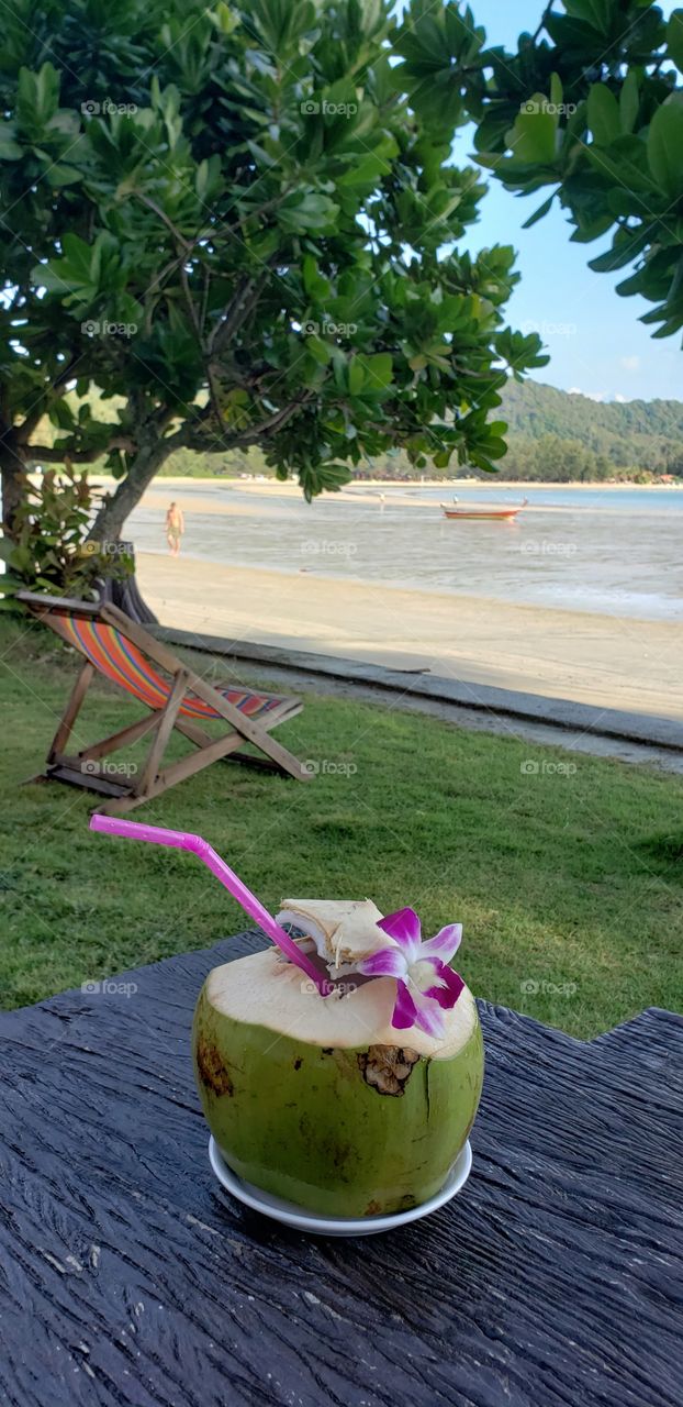 Fresh coconut at the beach