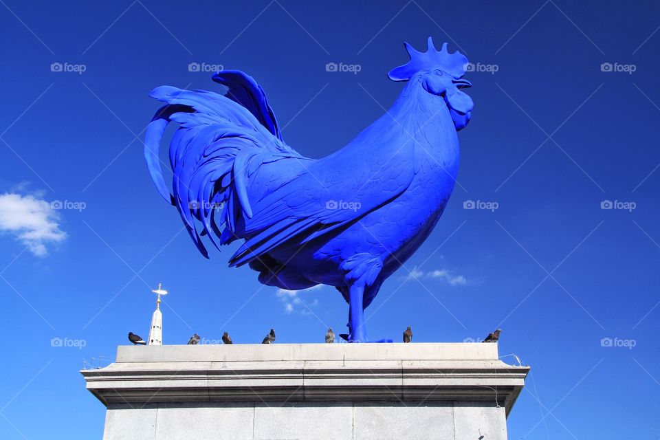 Big Blue Chicken. A statue of a big blue chicken sits on top of a plinth in Trafalgar Square, London with a row of pigeons for company.