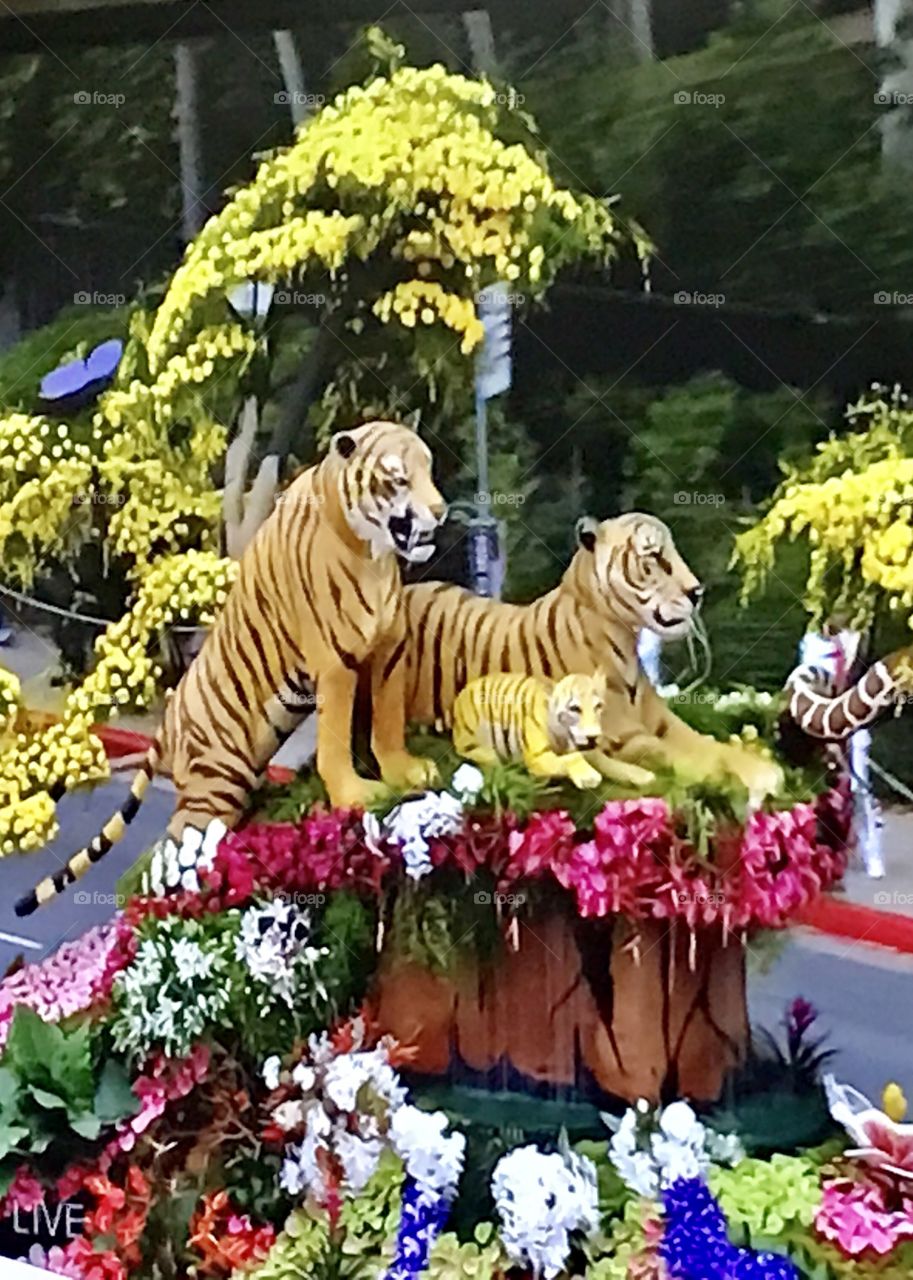 Rose parade